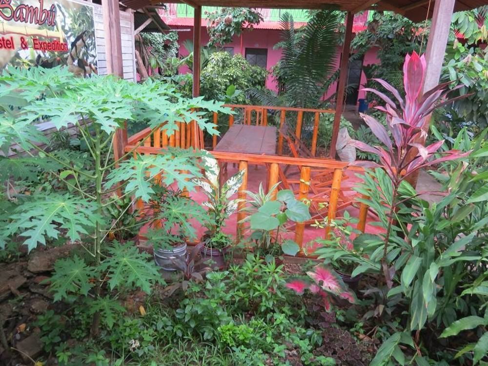 Tambopata Hostel Bambu Puerto Maldonado Exterior foto