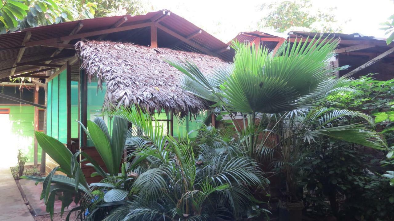 Tambopata Hostel Bambu Puerto Maldonado Exterior foto